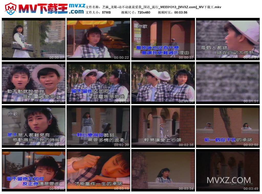 芝麻_龙眼-动不动就说爱我_国语_流行_MEE01313
